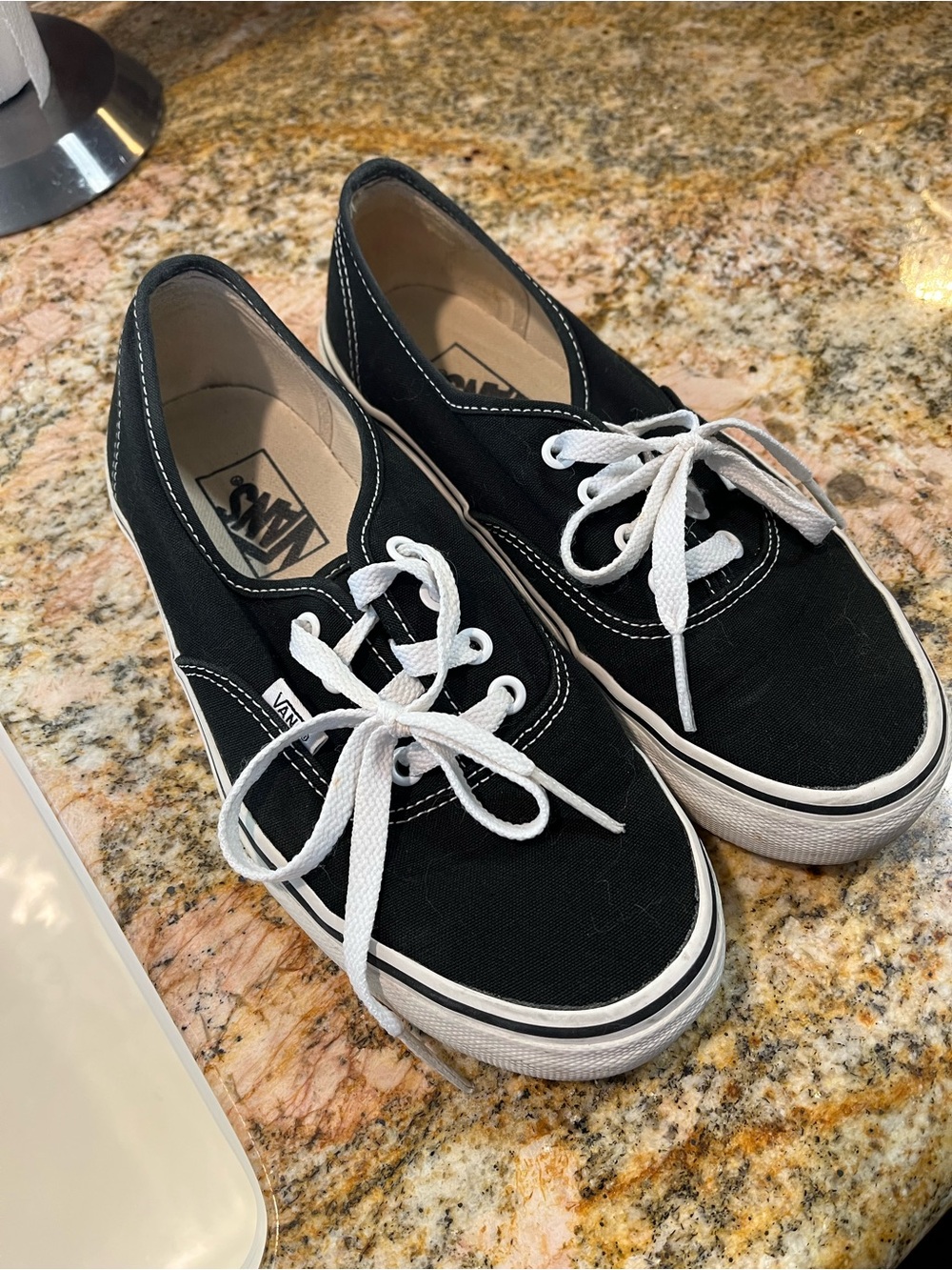 Vans Black Canvas Low-Top Sneakers with White Laces